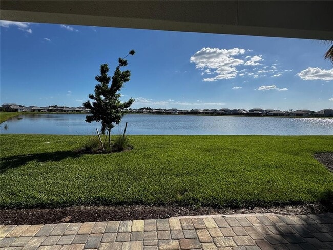 17425 Savory Mist Cir in Lakewood Ranch, FL - Building Photo - Building Photo