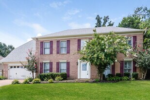 8885 Gooseberry Cove in Memphis, TN - Building Photo