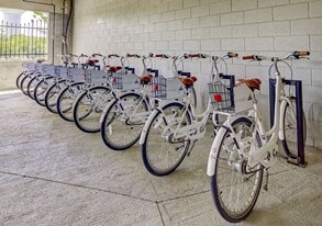 The Pinnacle on 31st Street in Virginia Beach, VA - Building Photo