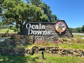 11145 NW 17th Court Rd in Ocala, FL - Building Photo