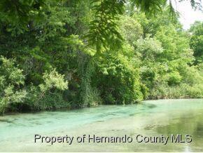 7032 River Run Blvd in Spring Hill, FL - Building Photo - Building Photo