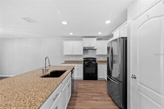 10602 Massimo Dr in Wimauma, FL - Building Photo - Building Photo