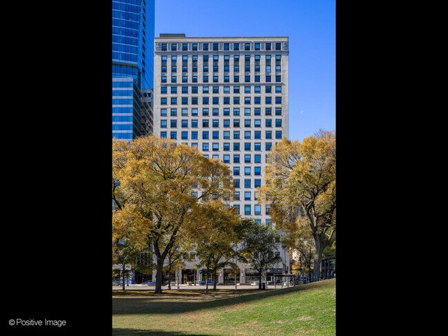910 S Michigan Ave in Chicago, IL - Building Photo - Building Photo