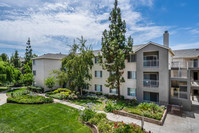 Pavona Apartments in San Jose, CA - Foto de edificio - Building Photo