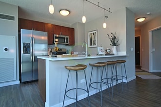 355 E Ohio St in Chicago, IL - Foto de edificio - Building Photo