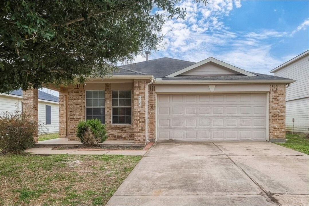 1123 Desert Palms Ln in Rosenberg, TX - Building Photo