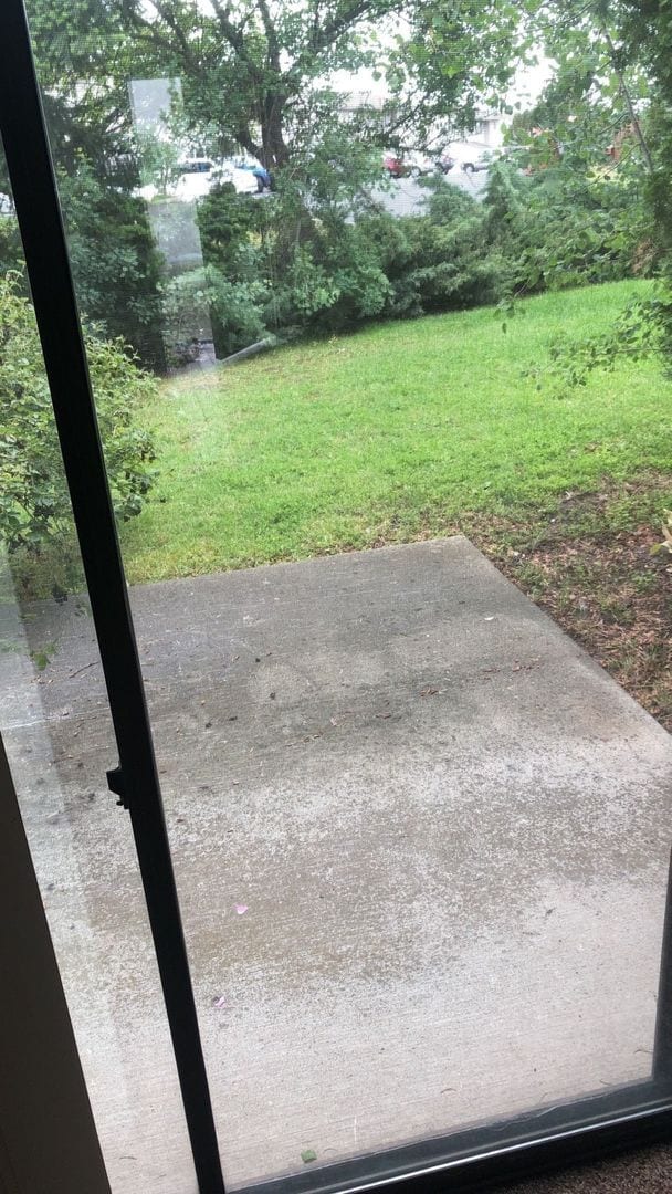 2005 NE Terre View Dr in Pullman, WA - Building Photo - Building Photo