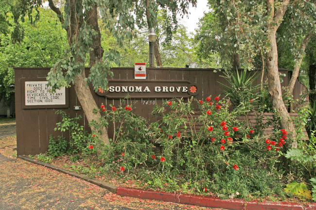 Wine Country RV Park - Sonoma