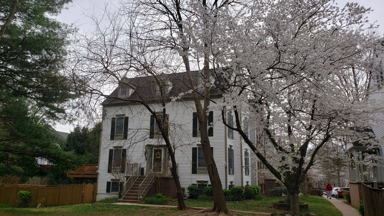 13 Steeple Ct in Germantown, MD - Foto de edificio