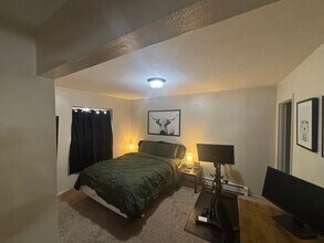 336 Old Fish Creek Falls Rd in Steamboat Springs, CO - Building Photo - Building Photo