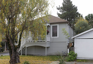 308-312 Vallejo St in Petaluma, CA - Building Photo - Building Photo