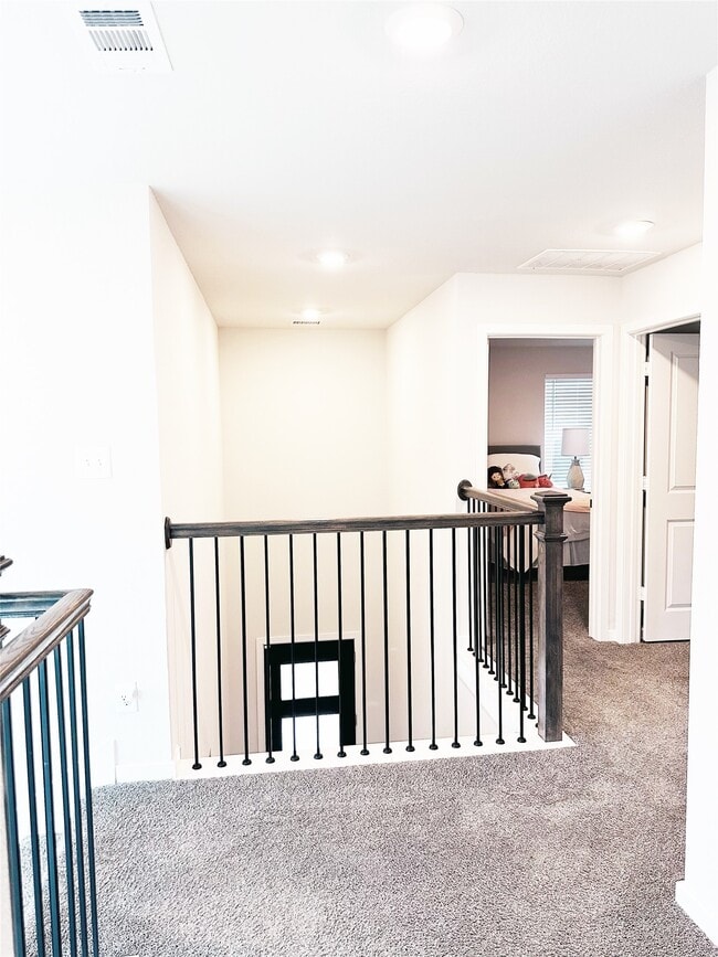 22114 Palo Dura Ln in Tomball, TX - Foto de edificio - Building Photo