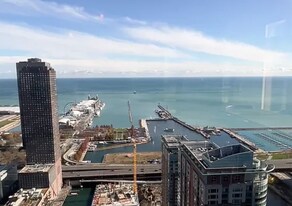 455 N Park Dr in Chicago, IL - Building Photo