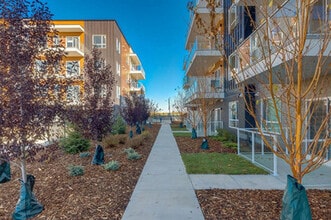 550 Belmont St SW in Calgary, AB - Building Photo - Building Photo