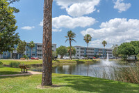 Sarasota Palms in Sarasota, FL - Foto de edificio - Building Photo