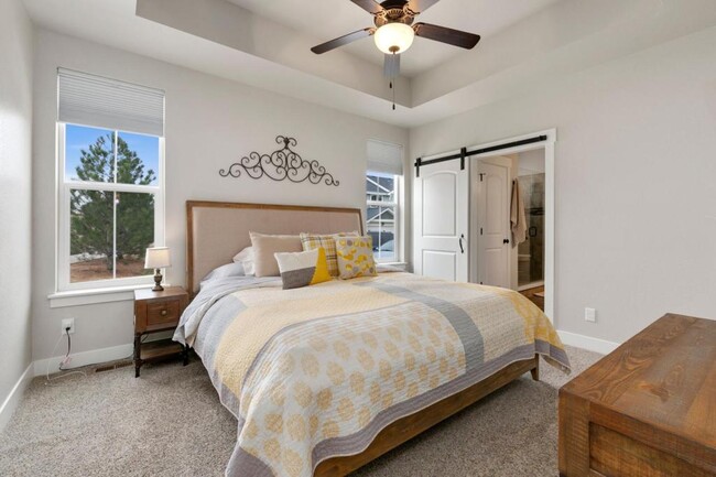 2435 Trio Falls Dr in Loveland, CO - Building Photo - Building Photo