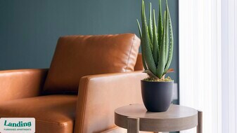 11214 N FM 620 in Austin, TX - Building Photo