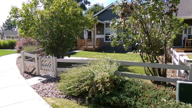 217 Rock Bridge Ln in Windsor, CO - Foto de edificio - Building Photo