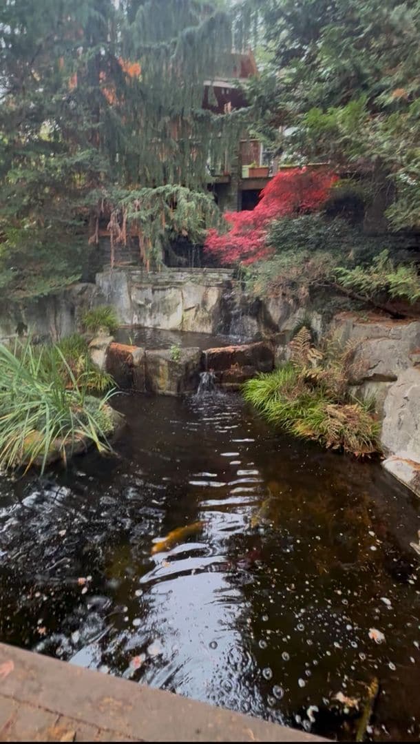 property at 10809 SE 17th St