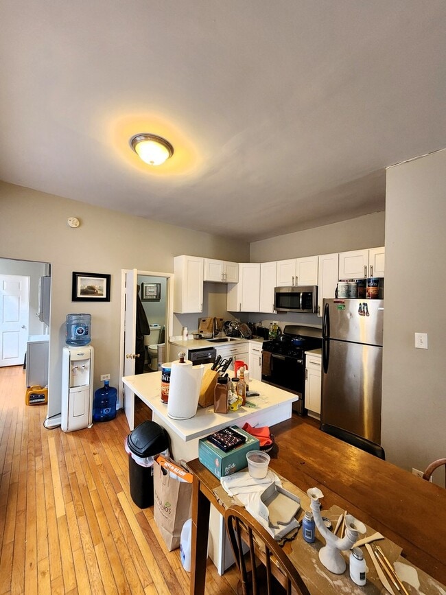 973 W 19th St in Chicago, IL - Building Photo - Building Photo