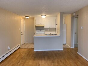 1148 N Washington St in Denver, CO - Building Photo - Building Photo