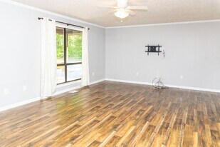 415 Owenwood Dr in Sevierville, TN - Building Photo