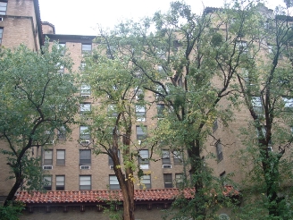 Albert Pike Apartments in Little Rock, AR - Building Photo - Other