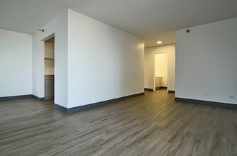 413 E Ohio St in Chicago, IL - Building Photo - Building Photo
