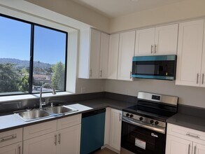 14535 Weddington St in Sherman Oaks, CA - Foto de edificio - Building Photo