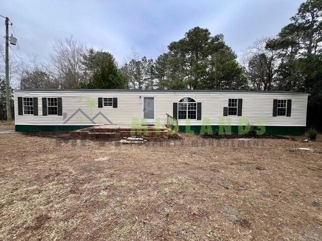 575 Forts Pond Rd in Pelion, SC - Building Photo - Building Photo