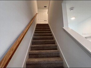 4537 Teoli Ct in Kissimmee, FL - Building Photo - Building Photo