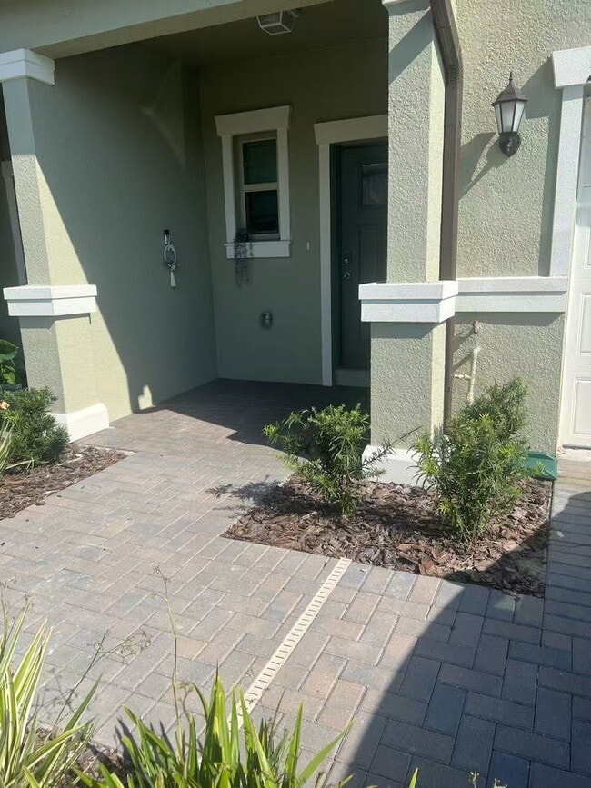 21822 Adriatic Ln in Land O Lakes, FL - Building Photo - Building Photo