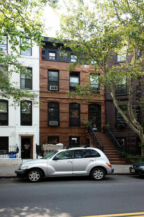 293 6th Ave in Brooklyn, NY - Building Photo