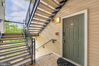 5123 Travis Edward Way in Centreville, VA - Building Photo - Building Photo
