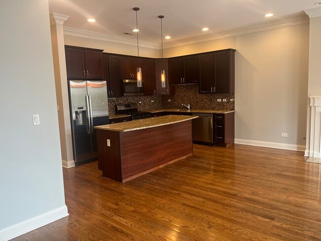 218 N Halsted St in Chicago, IL - Building Photo - Building Photo