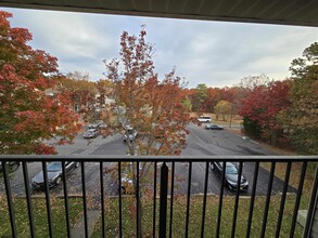 203 Colonial Ct in Galloway, NJ - Building Photo - Building Photo