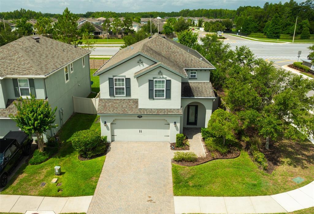 19200 Roseate Dr in Lutz, FL - Building Photo