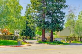 The Grove Homes in Yuba City, CA - Building Photo - Building Photo