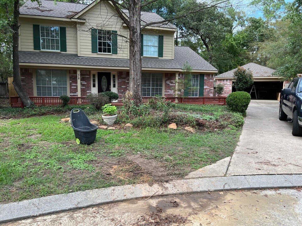 38 Tall Sky Pl in The Woodlands, TX - Building Photo