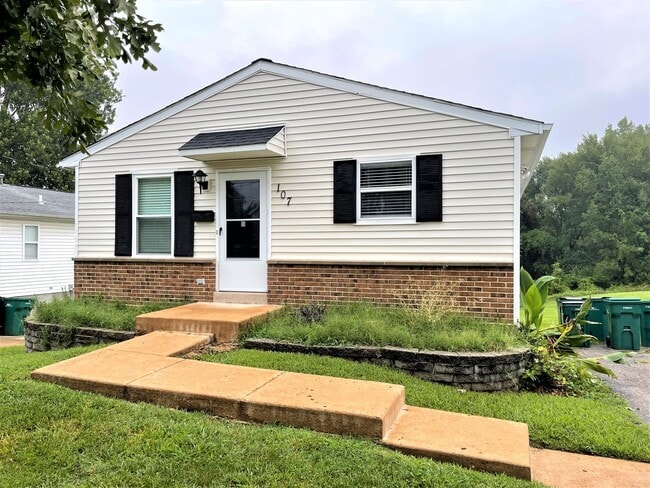 107 Reasnor Ave in Webster Groves, MO - Building Photo - Building Photo