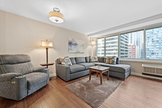 211 E Ohio St in Chicago, IL - Building Photo - Building Photo