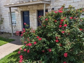 114 Scofield Ave in Johnson City, TX - Building Photo
