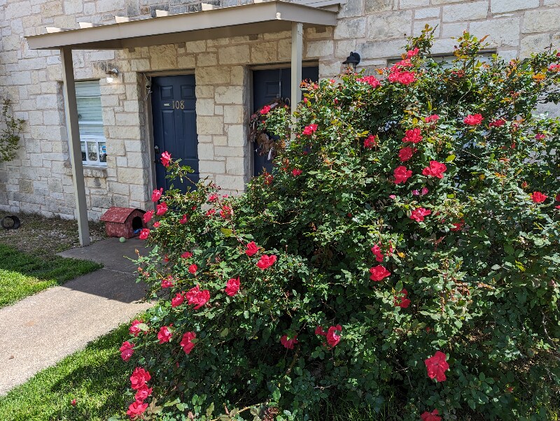 114 Scofield Ave in Johnson City, TX - Building Photo