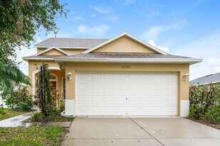 8226 Summer Wood Ln in Riverview, FL - Building Photo