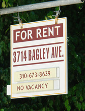 3714 Bagley Ave in Los Angeles, CA - Building Photo - Other