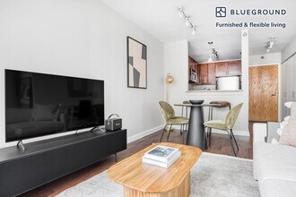 420 E Ohio St in Chicago, IL - Building Photo - Building Photo