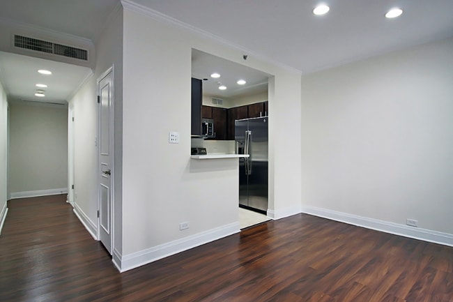 217 E Chestnut St in Chicago, IL - Building Photo - Building Photo