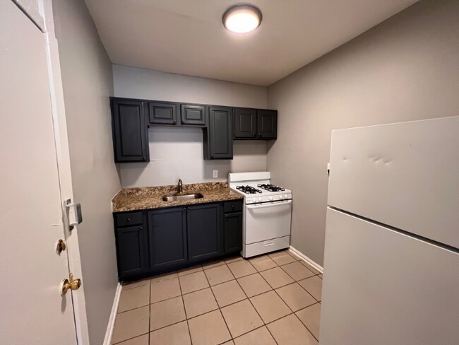 3725 W Grand Ave-Unit -2N in Chicago, IL - Building Photo - Building Photo