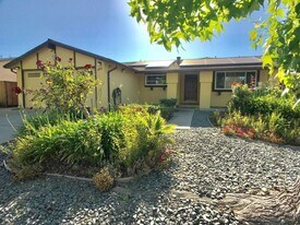 2803 Dowe Ave in Union City, CA - Building Photo