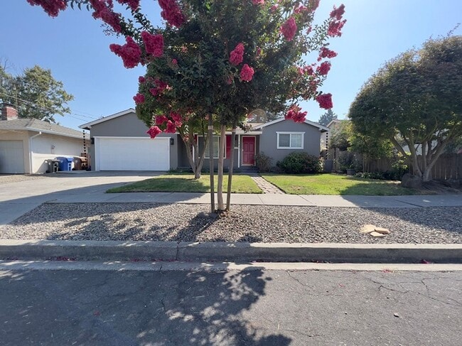 1431 Sumner Ave in Napa, CA - Building Photo - Building Photo